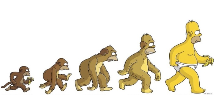 Evolution Homer 2